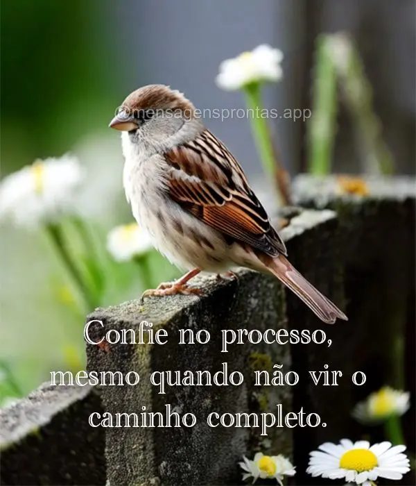 Confie no processo, mesmo quando não vir o caminho completo.