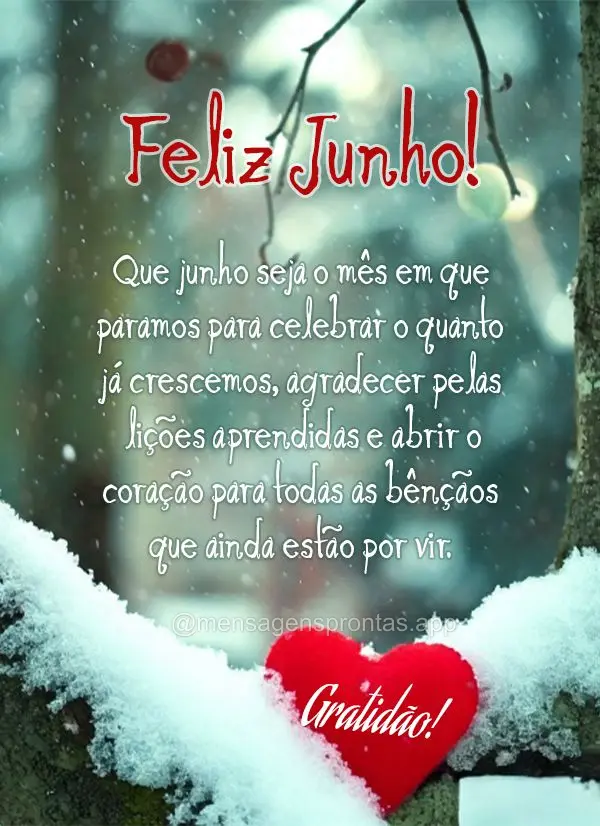 Que junho seja o mês em que paramos para celebrar o quanto já crescemos, agradecer pelas lições aprendidas e abrir o coração para todas as bênçã...