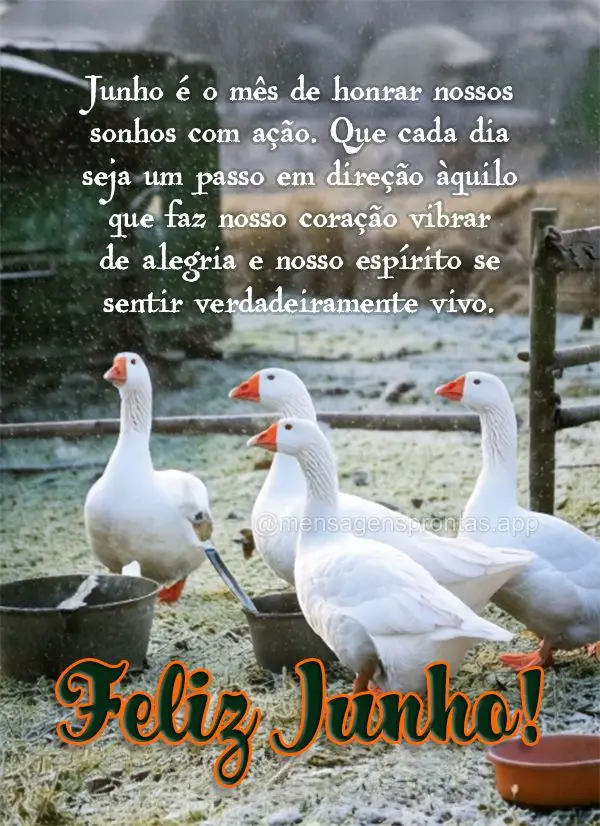 Junho é o mês de honrar nossos sonhos com ação. Que cada dia seja um passo em direção àquilo que faz nosso coração vibrar de alegria e nosso esp...