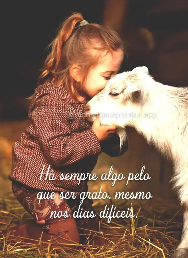 Há sempre algo pelo que ser grato, mesmo nos dias difíceis.