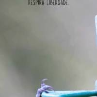 A verdadeira felicidade
nasce quando a alma respira liberdade.