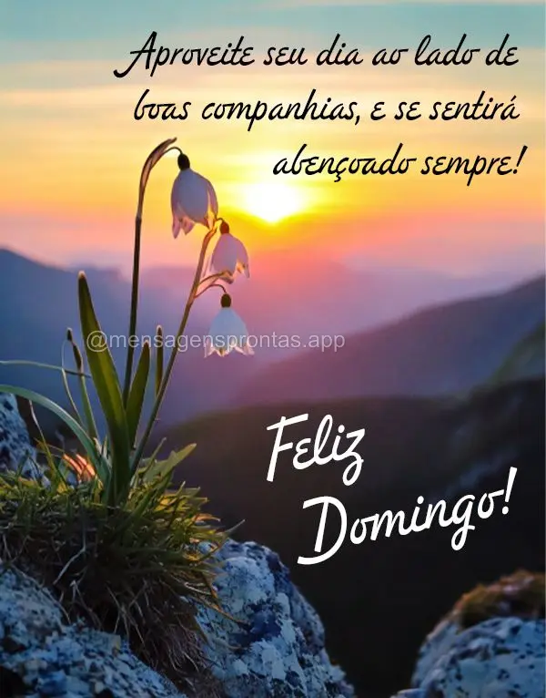 Aproveite seu dia ao lado de boas companhias, e se sentirá abençoado sempre! Feliz Domingo! 