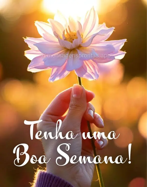 Tenha uma Boa Semana!