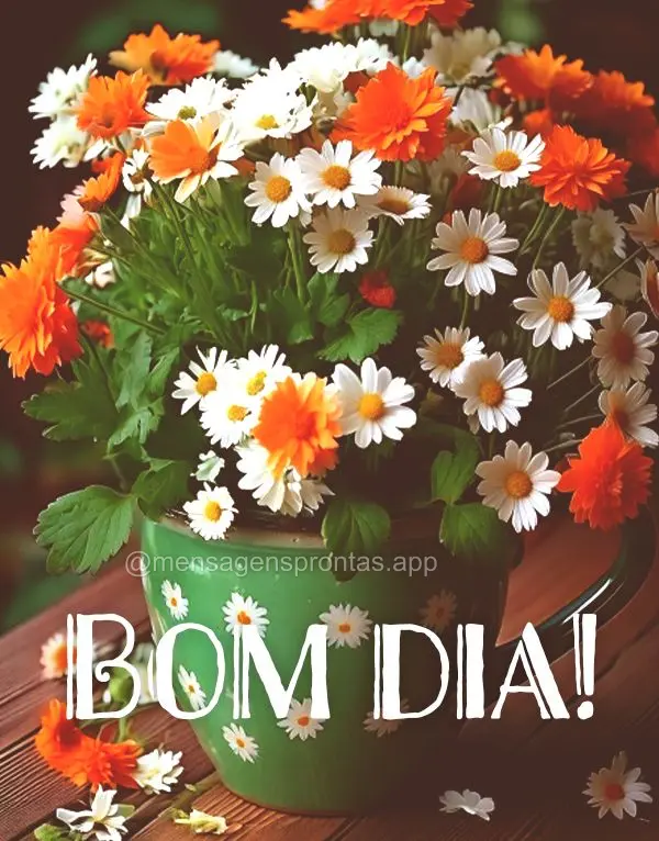 Bom dia! 