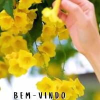 bem-vindo
junho