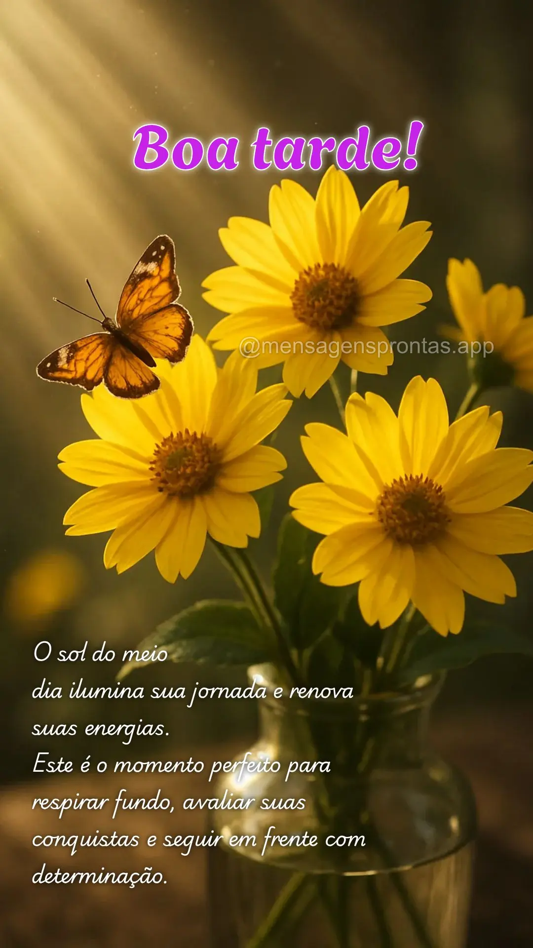  O sol do meio
dia ilumina sua jornada e renova suas energias. 
Este é o momento perfeito para respirar fundo, avaliar suas conquistas e seguir em fre...