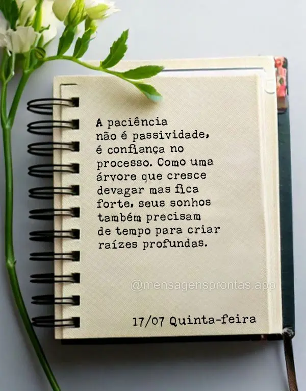 A paciência não é passividade, é confiança no processo. Como uma árvore que cresce devagar mas fica forte, seus sonhos também precisam de tempo pa...
