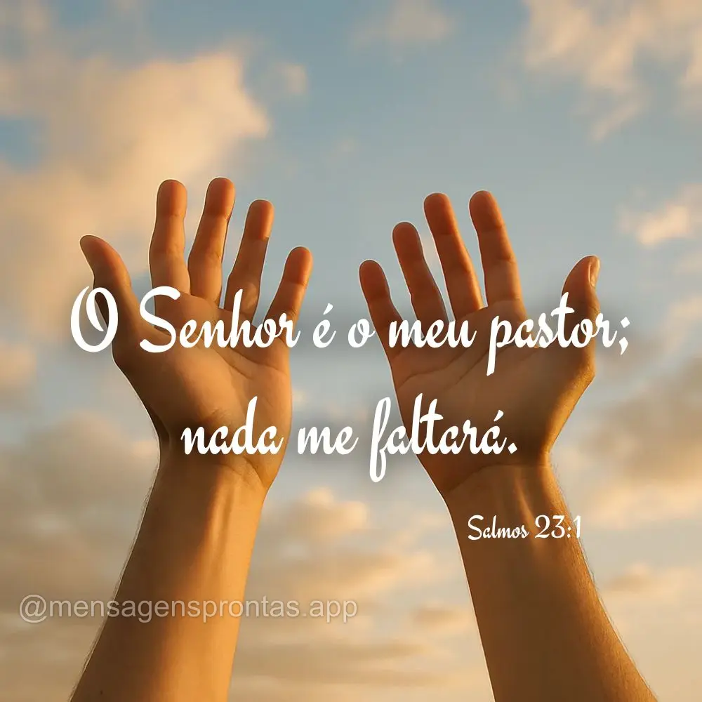 O Senhor é o meu pastor; 
nada me faltará. Salmos 23:1