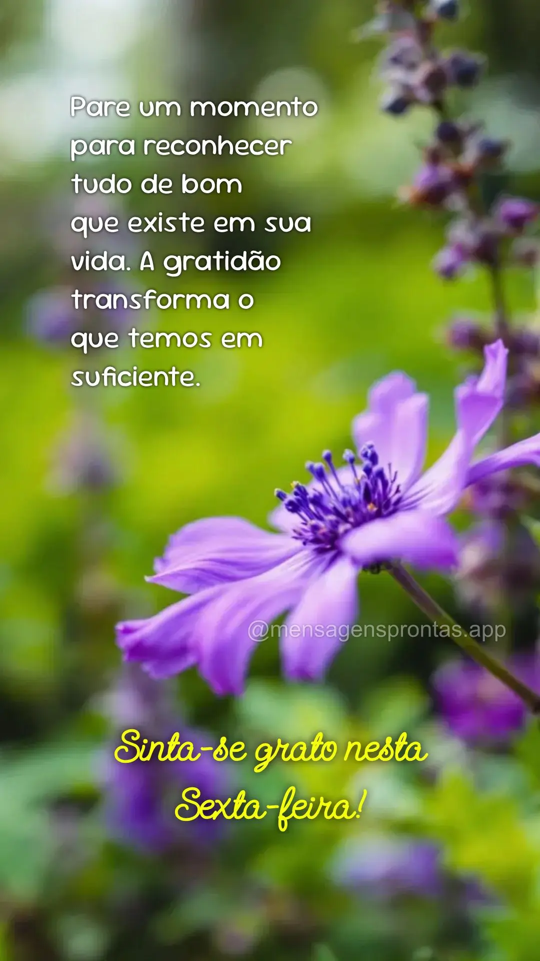 Pare um momento para reconhecer tudo de bom 
que existe em sua 
vida. A gratidão transforma o 
que temos em suficiente. Sinta-se grato nesta Sexta-fe...