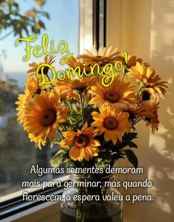 Algumas sementes demoram mais para germinar, mas quando florescem, a espera valeu a pena. Feliz Domingo!