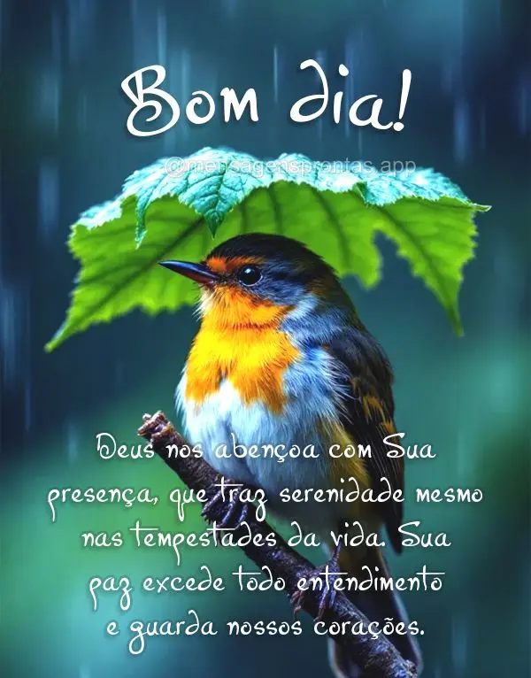 Deus nos abençoa com Sua presença, que traz serenidade mesmo nas tempestades da vida. Sua paz excede todo entendimento e guarda nossos corações. Bom ...