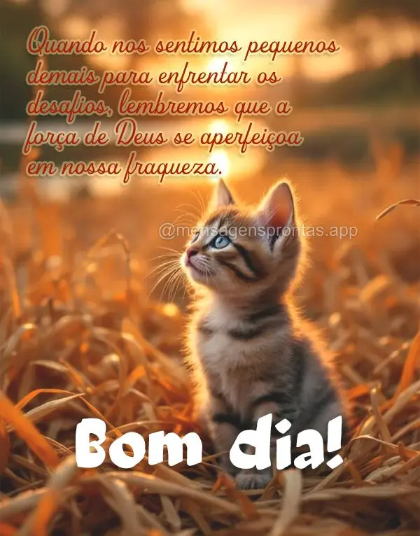Quando nos sentimos pequenos demais para enfrentar os desafios, lembremos que a força de Deus se aperfeiçoa em nossa fraqueza. Bom dia!