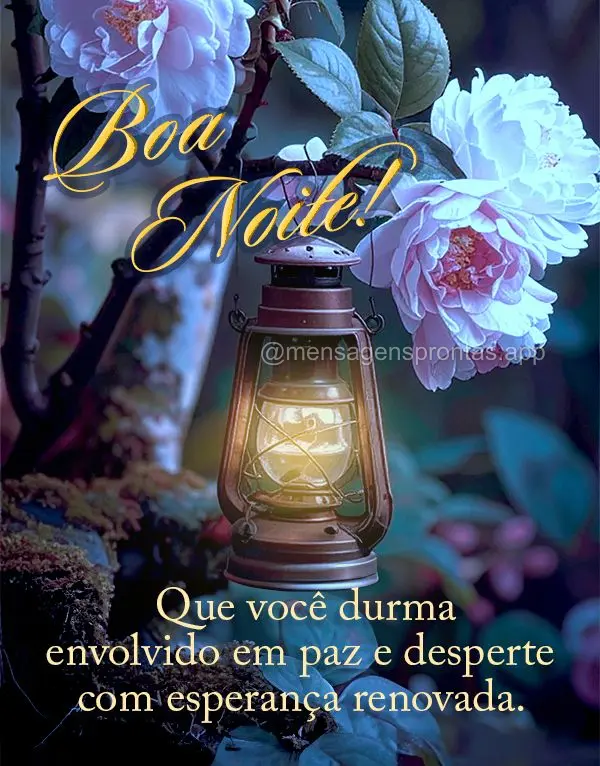 Que você durma envolvido em paz e desperte com esperança renovada. Boa noite!