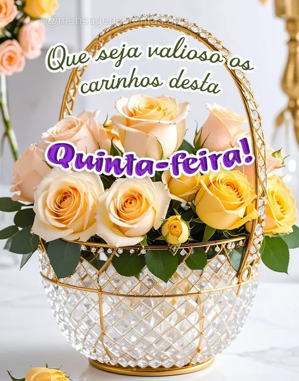 Que seja valioso os carinhos desta Quinta-feira!