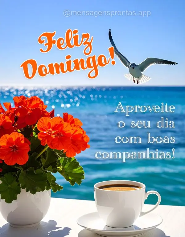 Aproveite o seu dia com boas companhias! Feliz Domingo!