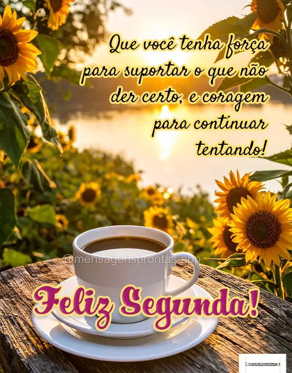 Que você tenha força para suportar o que não der certo, e coragem para continuar tentando! Feliz Segunda!