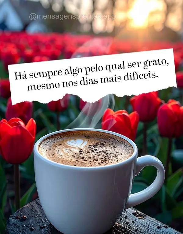 Há sempre algo pelo qual ser grato, mesmo nos dias mais difíceis.