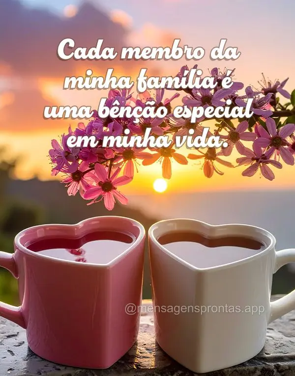 Agradeço por ter uma família que me ama incondicionalmente e me apoia em todos os momentos.