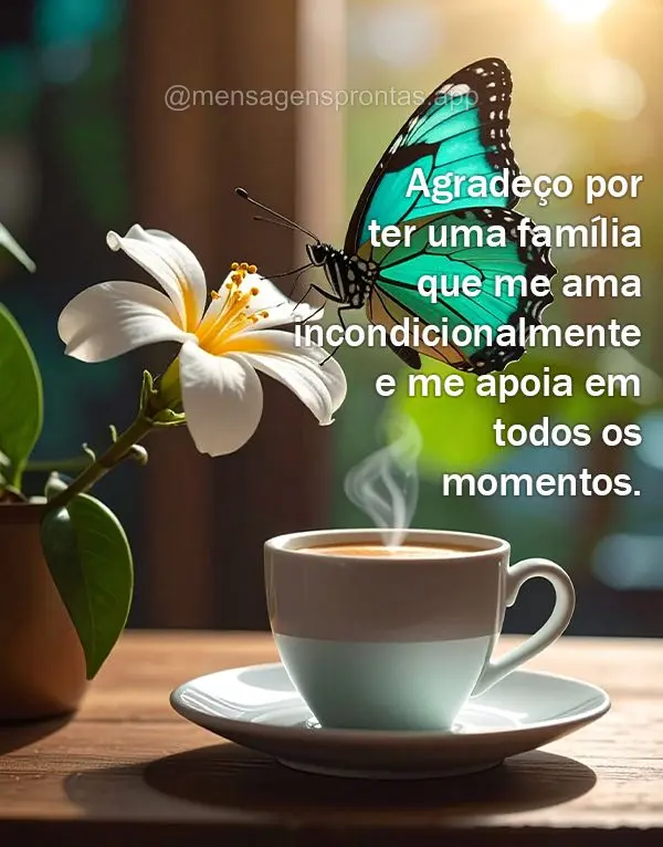 Agradeço por ter uma família que me ama incondicionalmente e me apoia em todos os momentos.