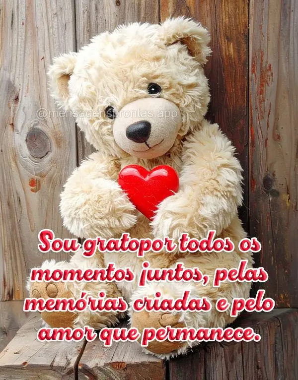 Sou grato por todos os momentos juntos, pelas memórias criadas e pelo amor que permanece.