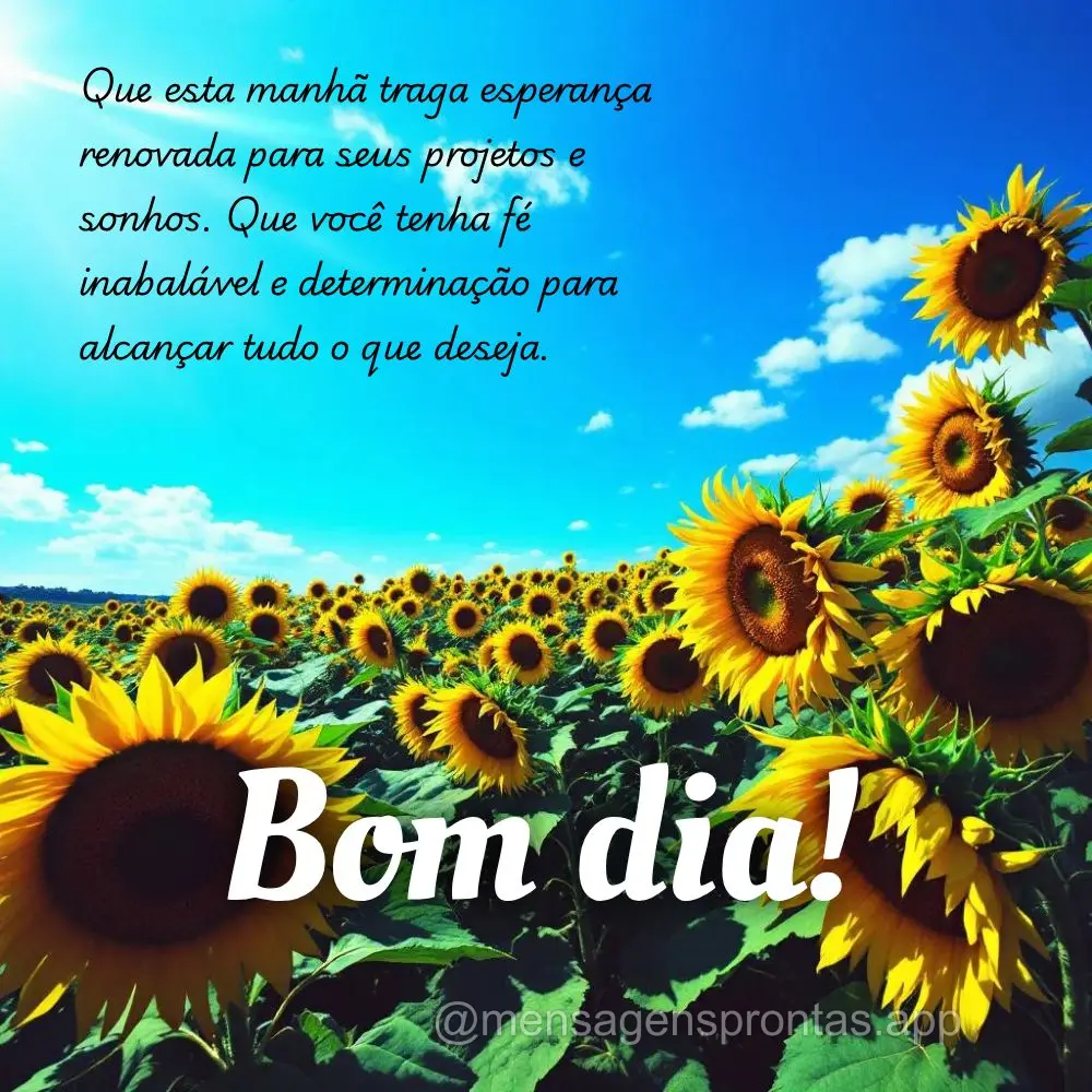 Que esta manhã traga esperança renovada para seus projetos e sonhos. Que você tenha fé inabalável e determinação para alcançar tudo o que deseja....