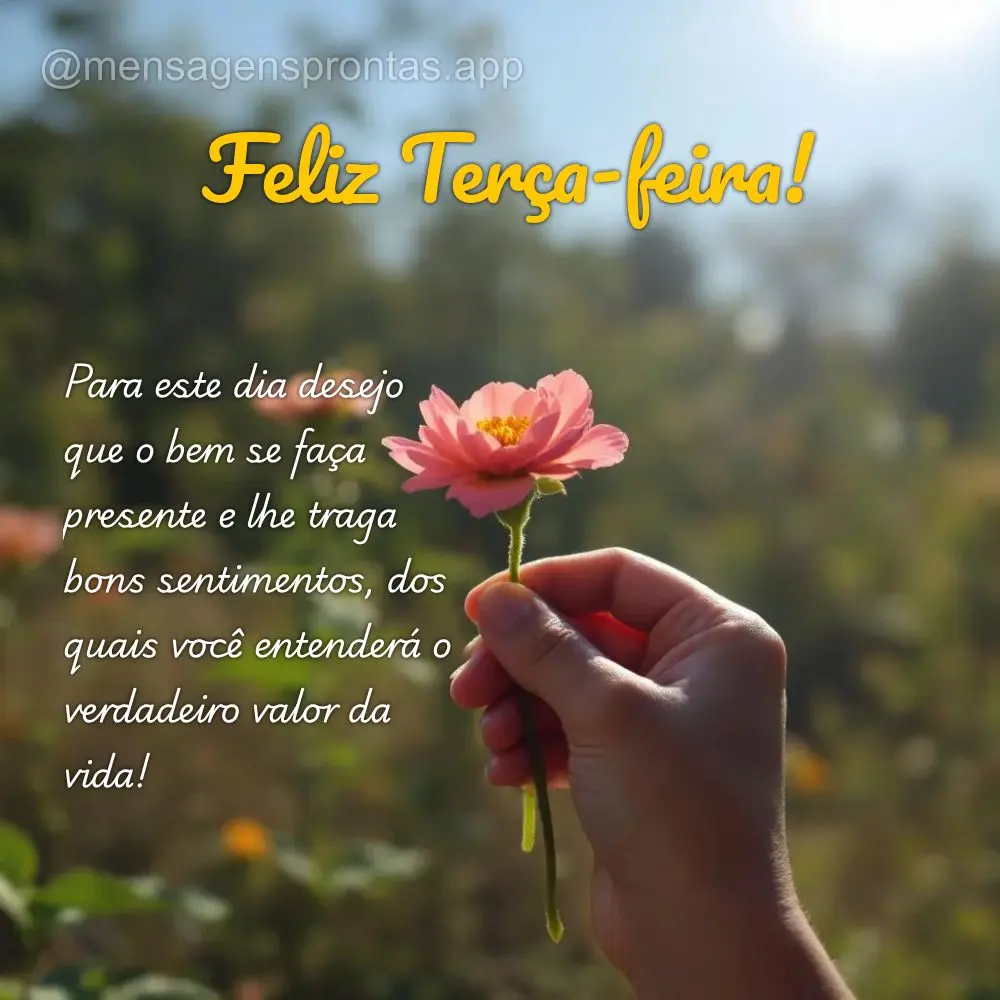 Para este dia desejo que o bem se faça presente e lhe traga bons sentimentos, dos quais você entenderá o verdadeiro valor da vida!   Feliz Terça-feir...