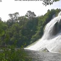 Quinta:
sorria, falta pouco pra sexta!