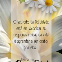 O segredo da felicidade está em valorizar as pequenas coisas da vida e aprender a ser grato por elas. Tenha um Bom Dia!