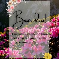 Um novo amanhecer, uma nova chance para realizar seus sonhos. Que sua jornada seja iluminada.
Bom dia!
