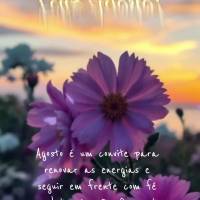 Agosto é um convite para renovar as energias e seguir em frente com fé e determinação. Que este mês seja de realizações e felicidade para todos. F...