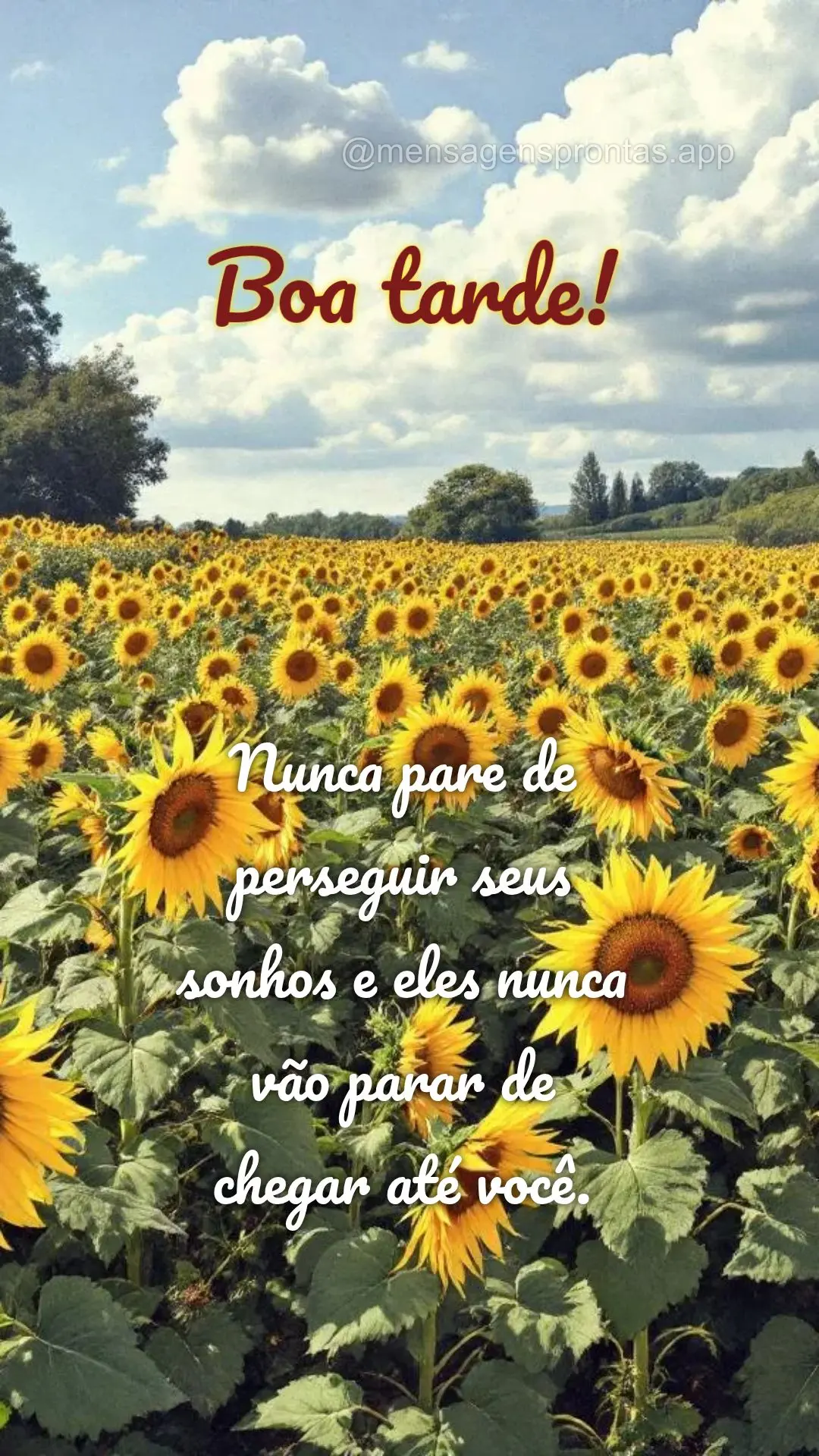 Nunca pare de perseguir seus sonhos e eles nunca vão parar de chegar até você. 
 Boa tarde!
