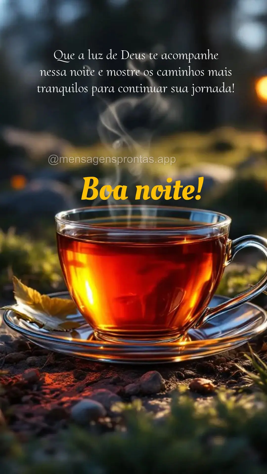 Que a luz de Deus te acompanhe 
nessa noite e mostre os caminhos mais tranquilos para continuar sua jornada! Boa noite!