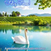 A verdadeira beleza está nos olhos de quem consegue enxergar nas pequenas coisas da vida o seu verdadeiro valor! Feliz Terça!