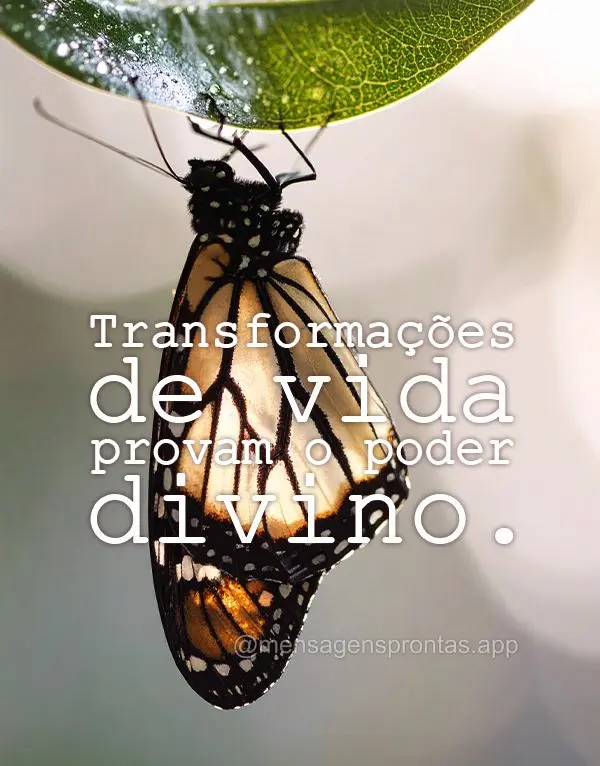 Transformações de vida provam o poder divino.