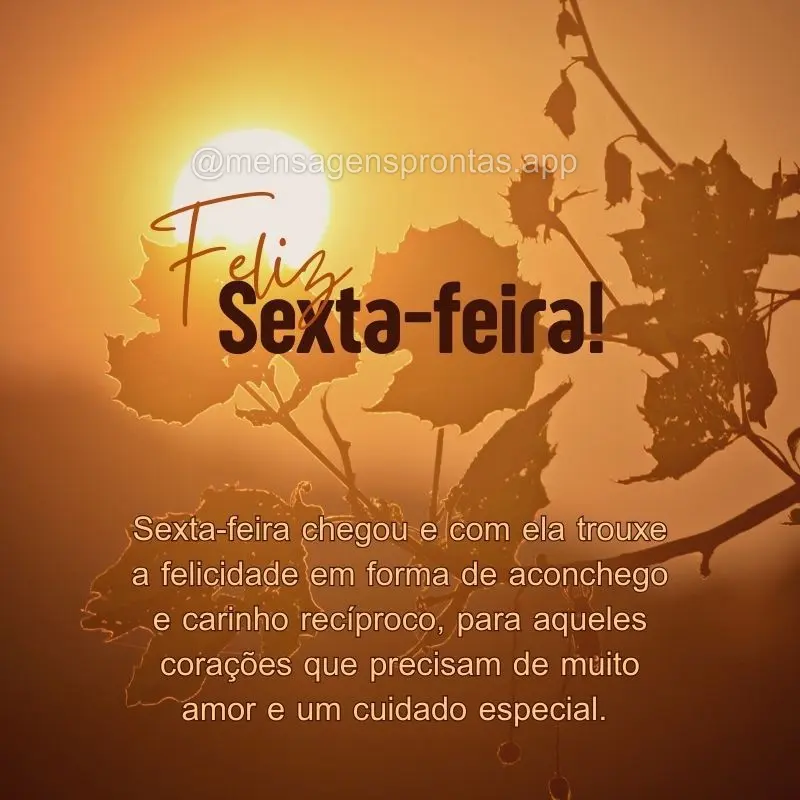 Sexta-feira chegou e com ela trouxe a felicidade em forma de aconchego e carinho recíproco, para aqueles corações que precisam de muito amor e um cuid...