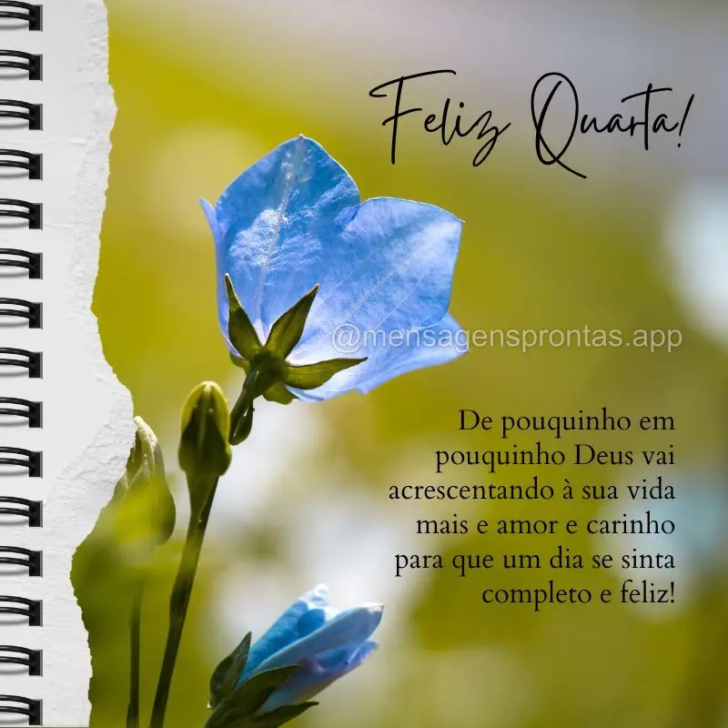 De pouquinho em pouquinho Deus vai acrescentando à sua vida mais e amor e carinho para que um dia se sinta completo e feliz! Feliz Quarta-feira!