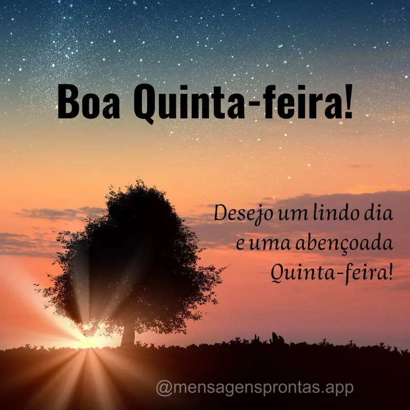 Desejo um lindo dia e uma abençoada Quinta-feira! Boa Quinta-feira!