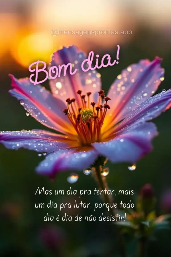 Mas um dia pra tentar, mais um dia pra lutar, porque todo dia é dia de não desistir! Bom dia!