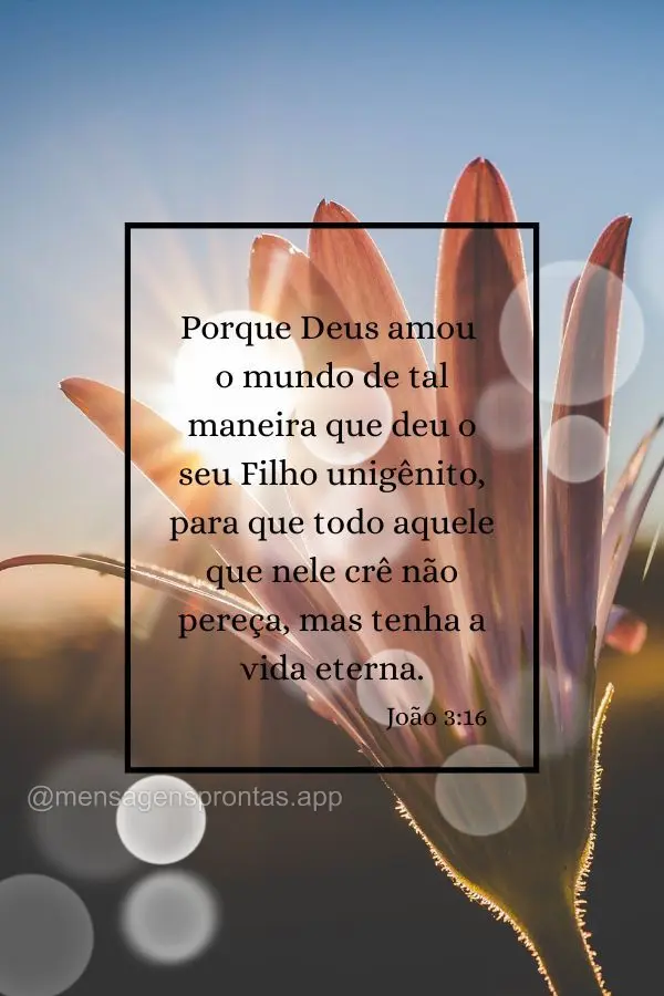 "Porque Deus amou o mundo de tal maneira que deu o seu Filho unigênito, para que todo aquele que nele crê não pereça, mas tenha a vida eterna." João...