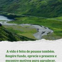 A vida é feita de pausas também. 
Respire fundo, aprecie o presente e encontre motivos para agradecer. 
A felicidade está nos detalhes simples. Boa ...