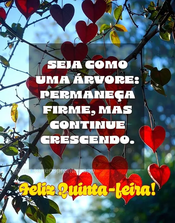 Seja como uma árvore: permaneça firme, mas continue crescendo. Feliz Quinta-feira!