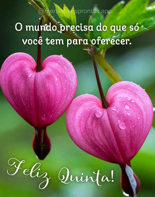 O mundo precisa do que só você tem para oferecer. Feliz Quinta!