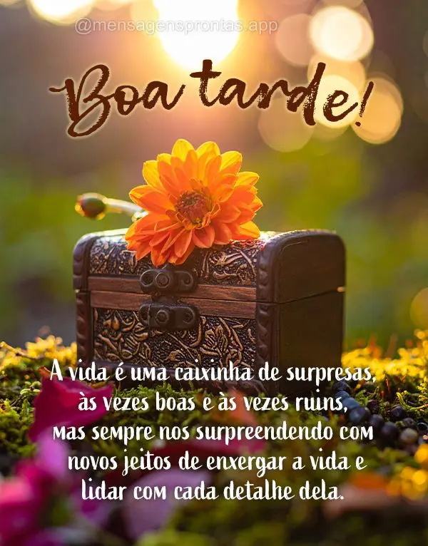 A vida é uma caixinha de surpresas, às vezes boas e às vezes ruins, mas sempre nos surpreendendo com novos jeitos de enxergar a vida e lidar com cada ...