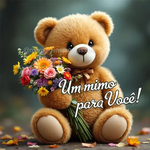 Um mimo para você!