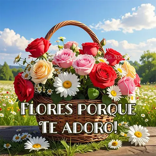 Flores porque te adoro!