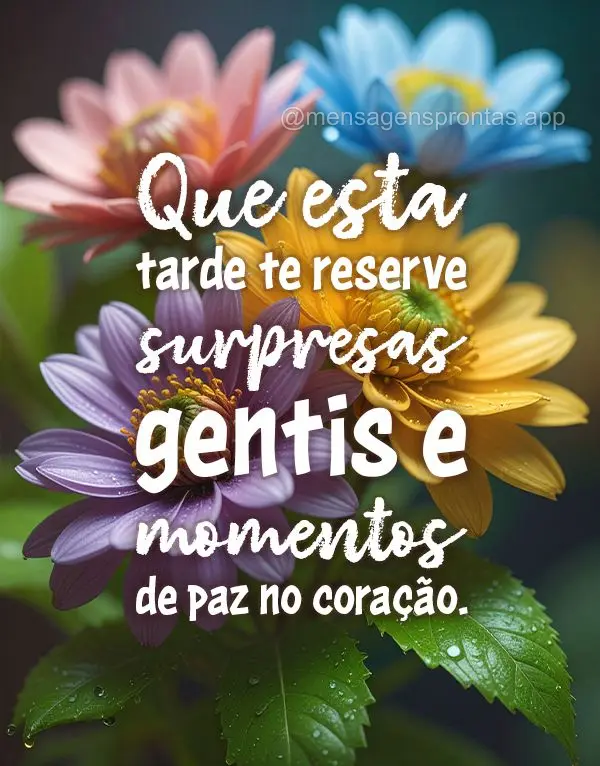 Que esta tarde te reserve surpresas gentis e momentos de paz no coração. Boa tarde!