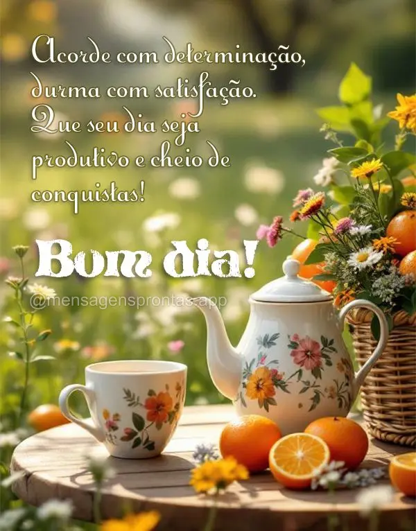 Acorde com determinação, durma com satisfação. Que seu dia seja produtivo e cheio de conquistas! Bom dia!