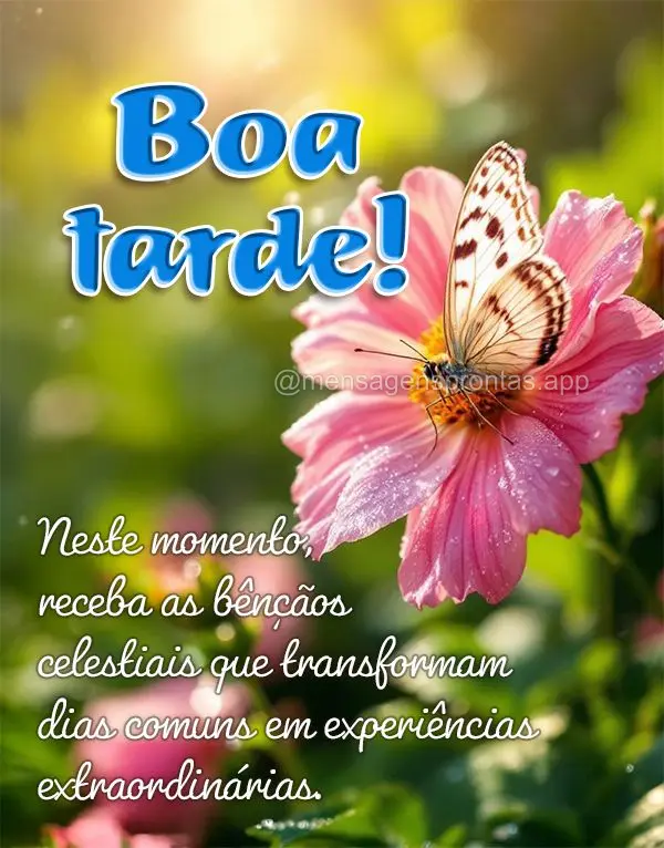 Neste momento, receba as bênçãos celestiais que transformam dias comuns em experiências extraordinárias. Boa tarde!