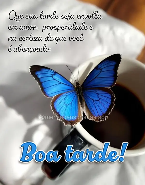 Que sua tarde seja envolta em amor, prosperidade e na certeza de que você é abençoado. Boa tarde!
