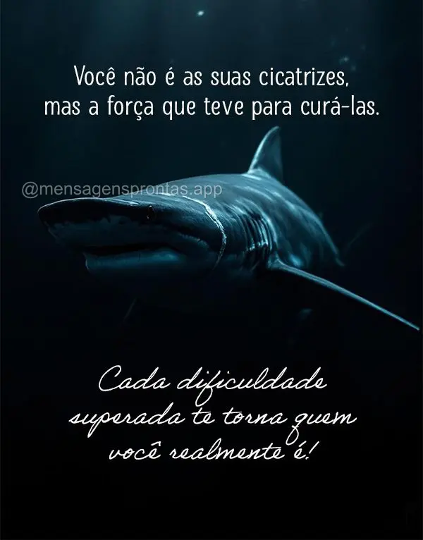 Você não é as suas cicatrizes, mas a força que teve para curá-las. Cada dificuldade superada te torna quem você realmente é!